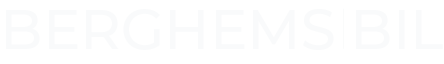 Berghemsny
